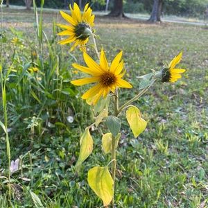 Meet your Posher, Michaela